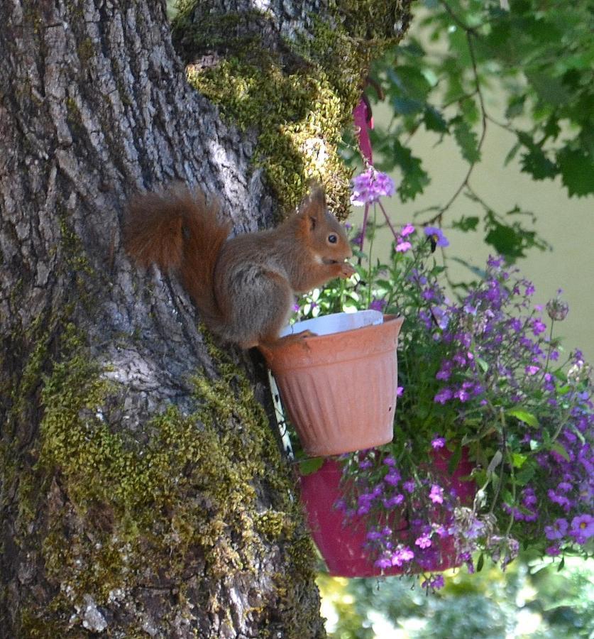 Les Gites De Lescurou Limogne-en-Quercy Bagian luar foto